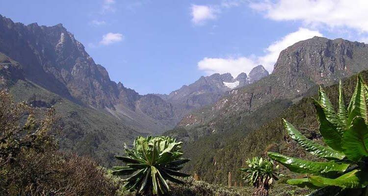 ruwenzori mountains
